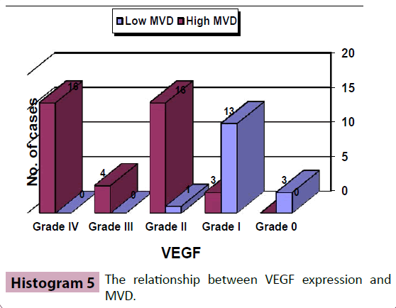 adenocarcinoma-VEGF-expression